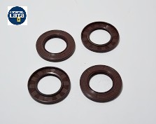 RETEN BOMBA F11-19 VITON